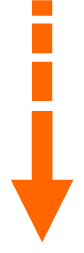 Vertical Orange Arrow